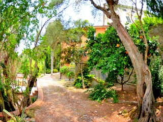 Cottage Massarosa Außenaufnahme 11