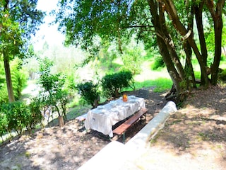 Vakantiehuisje Massarosa Buitenaudio-opname 12