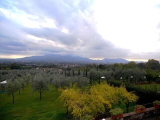 Casa vacanze Massarosa Ambiente 23