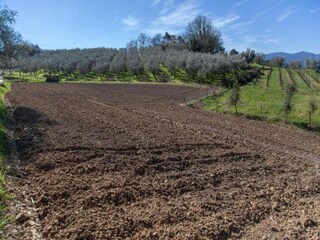 Maison de vacances Lucca Environnement 33