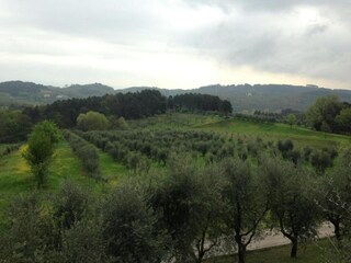 Vakantiehuis Lucca Omgeving 37