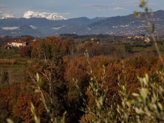 Vakantiehuis Lucca Omgeving 23