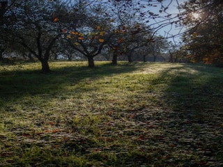 Holiday house Lucca Environment 24