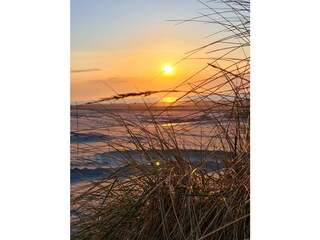 Appartamento per vacanze Norderney Ambiente 14