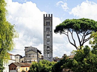 Landhaus Lucca Umgebung 20