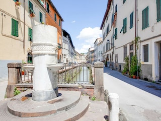 Cottage Lucca Environment 19