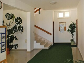 Holiday park Nemira  19