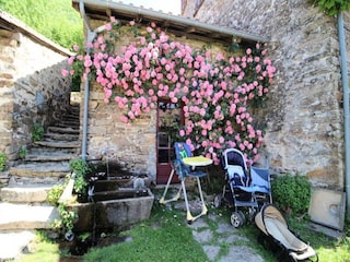 Apartment Cussac  26