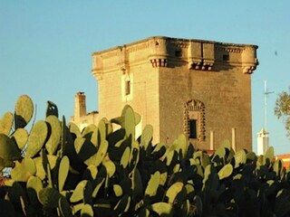 Maison de vacances Santa Maria al Bagno Environnement 49