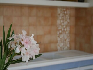 Maison de vacances Santa Maria al Bagno  52