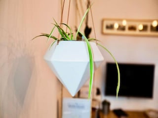 Apartment Montpellier  33