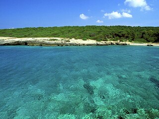 Maison de vacances Santa Maria al Bagno Environnement 39