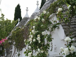 Maison de vacances Santa Maria al Bagno Environnement 35