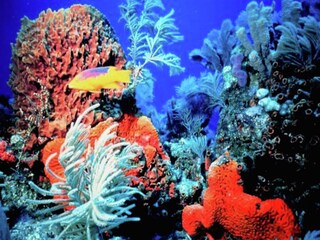 Maison de vacances Santa Maria al Bagno Environnement 40