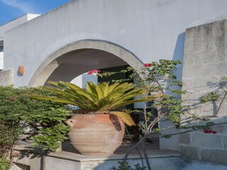 Ferienhaus Santa Maria al Bagno Außenaufnahme 13