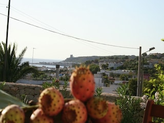 Ferienhaus Santa Maria al Bagno Außenaufnahme 10