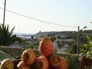 Vakantiehuis Santa Maria al Bagno Buitenaudio-opname 10