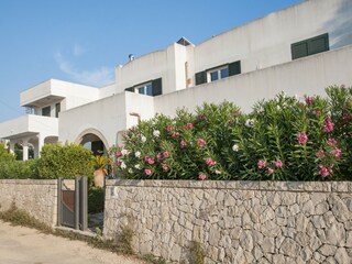 Maison de vacances Santa Maria al Bagno Enregistrement extérieur 3