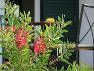 Maison de vacances Santa Maria al Bagno Enregistrement extérieur 33