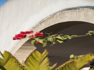 Vakantiehuis Santa Maria al Bagno Buitenaudio-opname 34