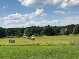 Vakantiehuis Nuthe-Urstromtal Omgeving 34