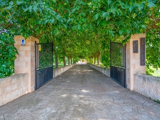 Villa Búger Grabación al aire libre 13