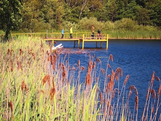Bungalow Nuthe-Urstromtal Environnement 24