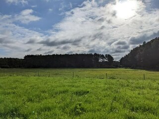 Bungaló Nuthe-Urstromtal Entorno 31