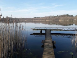 Bungalow Nuthe-Urstromtal Environnement 32
