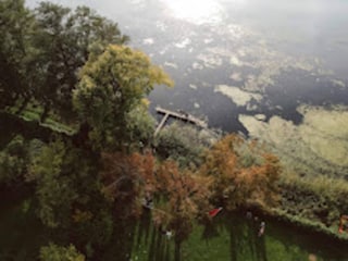 Bungalow Nuthe-Urstromtal Environnement 22