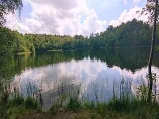 Bungalow Nuthe-Urstromtal Environnement 12