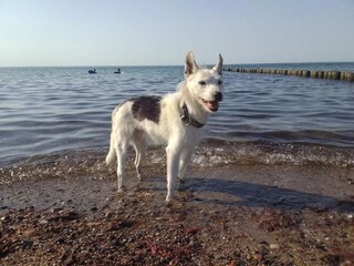 Bungalow Nienhagen Ambiente 20