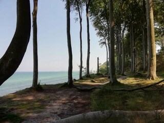 Bungalow Nienhagen Environnement 22