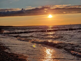 Bungalow Nienhagen Ambiente 36