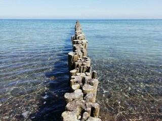 Bungalow Nienhagen Umgebung 34