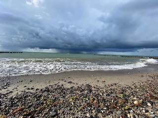 Bungalow Nienhagen Umgebung 37