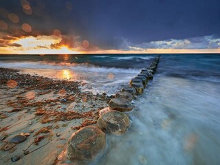 Bungalow Nienhagen Ambiente 37