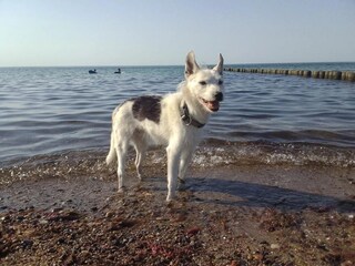 Bungalow Nienhagen Environment 24