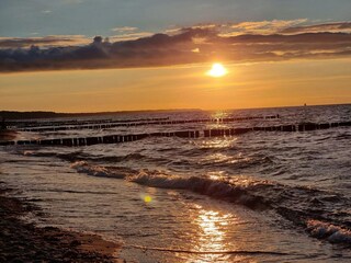 Bungalow Nienhagen Omgeving 24