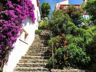 Apartment Banyuls-sur-Mer  17