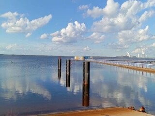 Hausboot Boxberg (Oberlausitz) Umgebung 35