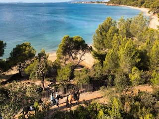 Apartment Bormes-les-Mimosas  37