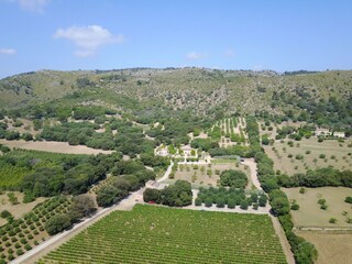 Villa Alcudia Outdoor Recording 7