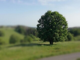 Apartamento Güntersberge Entorno 25