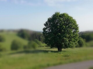 Appartamento Güntersberge Ambiente 44