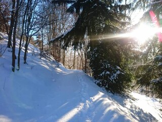 Apartamento Güntersberge Entorno 30