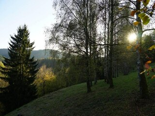 Appartamento Güntersberge Ambiente 36