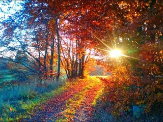 Appartamento Güntersberge Ambiente 37