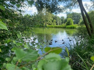 Appartamento Güntersberge Ambiente 24