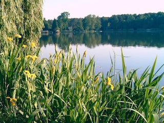 Ferienhaus Schwerin in Brandenburg Umgebung 28